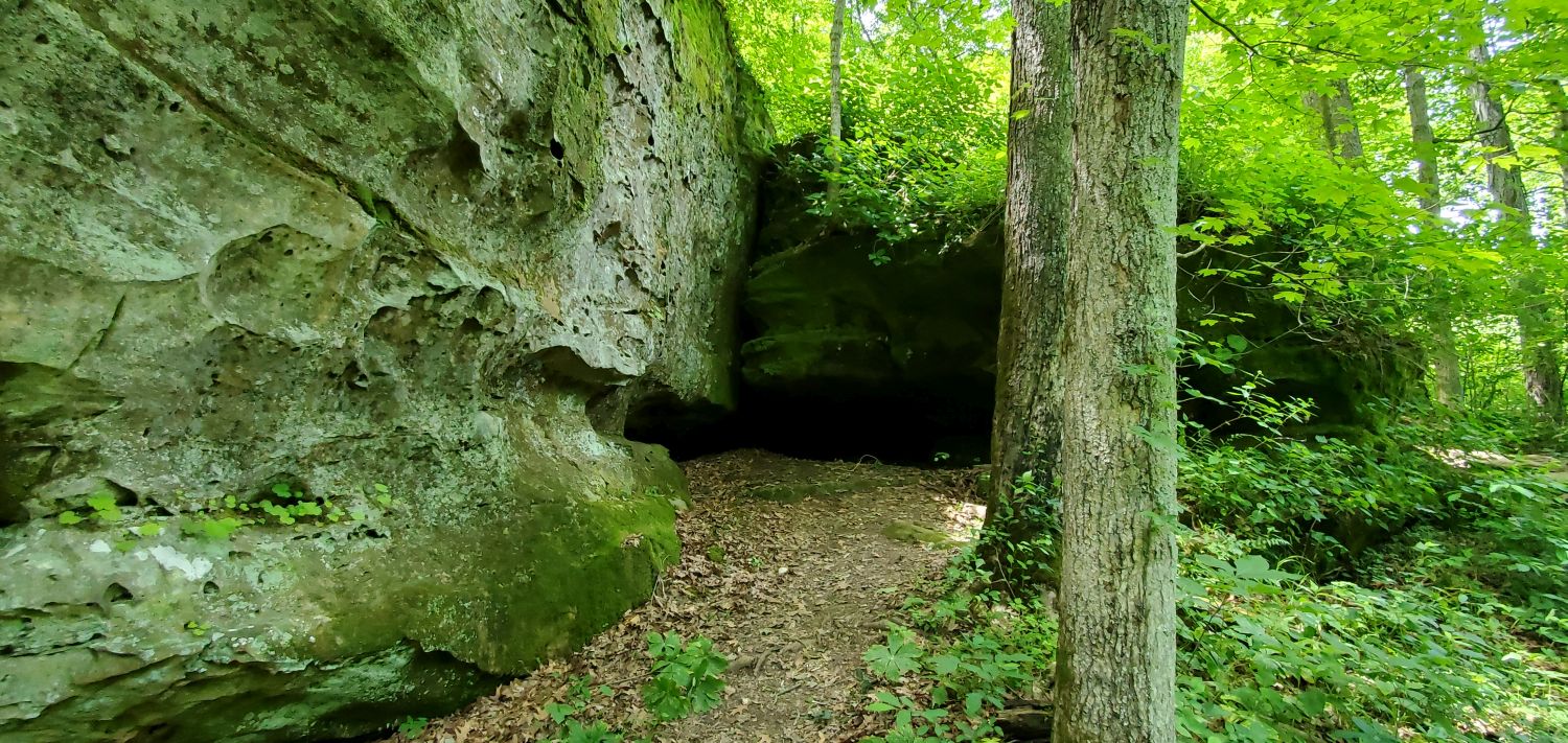 Giant City SP - Trillium Trail 